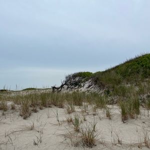 Meet your Posher, Rob